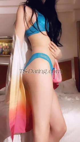 trans girl Sofiacrossdrs 3118112 trans girl Sofiacrossdrs 3118112