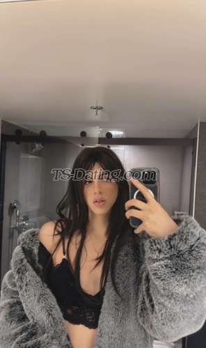 trans girl Sofiacrossdrs 3147354 trans girl Sofiacrossdrs 3147354