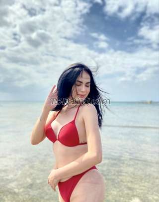 trans girl Sofiamae0700 6012413 trans girl Sofiamae0700 6012413