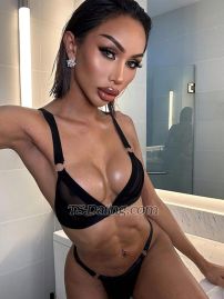 Somonn Bangkok Transex Hi I'm Somon 🏳️‍⚧️ 
ladyboys have Dick 7 inches 

💻 Instagram : Charlenarrr (152k)
💻 X : @soso_7inches (354k)
☎️ WhatsApp : +66628426610

(On PrEP) 💊

If you want me , You will receive exciting experience, please send me a message 📥

Available for men ready to pay 💰 
📍 Bangkok , TH 🇹🇭

🔻
❗️TOP 
❗️BOTTOM
❗️DICK 7 INCHES 
❗️PERFECT BODY
❗️HAND JOB , BLOW JOB 
❗️KISS , SUCKING , LICKING 
❗️CUM ON FACE , CUM IN MOUTH 

💰 HOW TO PAY 💰

- CASH
- INTERNATIONAL BANK TRANSFER
- PAYPAL 
- WISE

💵 MY RATE ………….฿ 
SEND MESSAGES ONLY (WHATSAPP)
 📲 +66628426610
