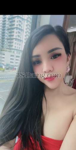 trans girl SoniaQueenmis 8488266 trans girl SoniaQueenmis 8488266