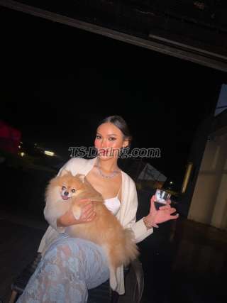 trans girl Soniasofia 4927857 trans girl Soniasofia 4927857