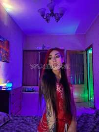 Sonyadi5153 Istanbul Transex Вы ищете кого-то женственного, но
полностью функционального?
Который может быть сверху, может
быть снизу, может кончать тоже?
Чистый и очень гигиеничный?
Хорошо воспитанный,
образованный и страстный TS? Не
ищите дальше, вы нашли то, что вам
нужно. 💋

Фотографии
РЕАЛЬНЫ. Не стесняйтесь
позвонить по видеосвязи для
проверки.

И если вы
действительно хотите пережить
незабываемые моменты без спешки
и в приятной компании, просто
свяжитесь со мной, и мы сможем
хорошо провести время вместе и
многое другое.

Не
стесняйтесь писать мне или
звонить в любое время. 🤍