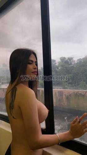 trans girl Sophia10 8385665 trans girl Sophia10 8385665