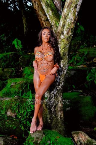 trans girl Sophiaferraz 8969589 trans girl Sophiaferraz 8969589