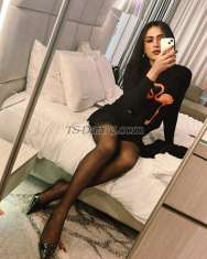 Sophia rose Delhi Transex Hello, I’m Sofia Rose 🌹Welcome to a world of
enchantment and excitement! I'm here to bring a touch of
fantasy and fun into your life. If you're a classy,
confident man ready to relax and enjoy genuine connection,
I’m here for you. I promise to make you feel comfortable,
valued, and truly special. Let’s create unforgettable
moments together ♥️