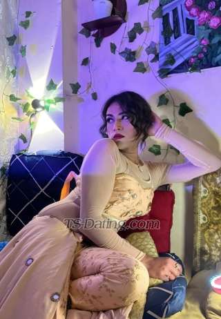 trans girl Sophiarose 2805376 trans girl Sophiarose 2805376