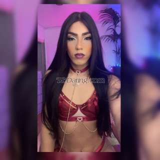 trans girl Sophiasharlot 9401694 trans girl Sophiasharlot 9401694