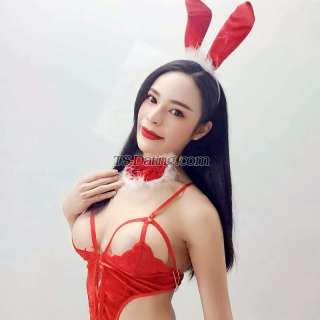 trans girl Sozarabarbie 6025454 trans girl Sozarabarbie 6025454