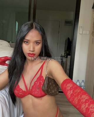 trans girl StefaniX 9872880 trans girl StefaniX 9872880