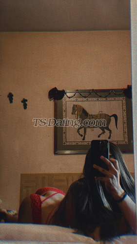 trans girl Stefany98 4633268 trans girl Stefany98 4633268