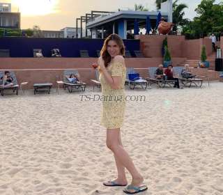 trans girl Stella263 4959919 trans girl Stella263 4959919