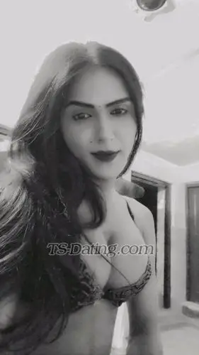 Shemale Stella9090 7534873 Shemale Stella9090 7534873