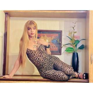 trans girl StellaStella 6283100 trans girl StellaStella 6283100