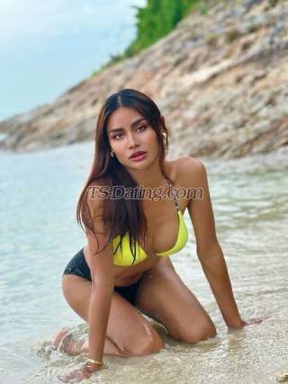 trans girl Sugarwitty 9786216 trans girl Sugarwitty 9786216