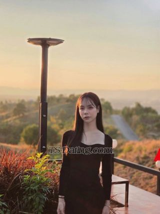 trans girl Summer33 7545894 trans girl Summer33 7545894