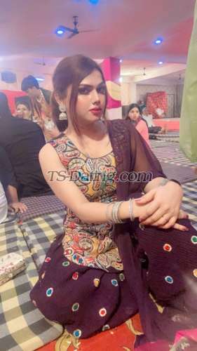 trans girl Sushy 3803424 trans girl Sushy 3803424