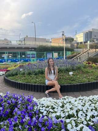 trans girl SweeMistress 5704994 trans girl SweeMistress 5704994