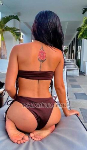 trans girl SweetCinderel 0738653 trans girl SweetCinderel 0738653