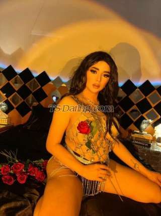 trans girl SweetDanicaX 3655604 trans girl SweetDanicaX 3655604