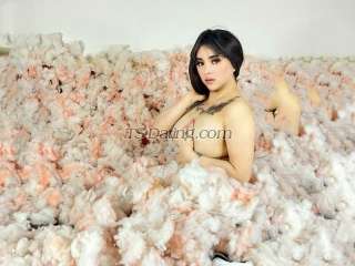 trans girl SweetDanicaX 9827775 trans girl SweetDanicaX 9827775