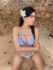 SweetKimmy Cagayan De Oro Transex Я просто трансгендер и готов доставить вам удовольствие ✨