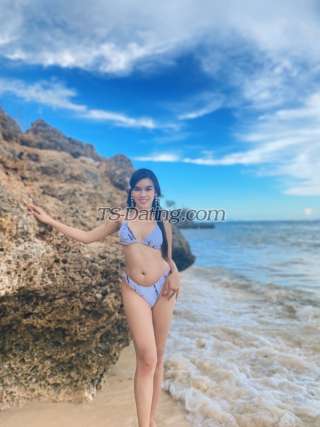 trans girl SweetKimmy 6209866 trans girl SweetKimmy 6209866