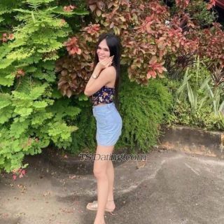 trans girl Sweetlinsy 4474880 trans girl Sweetlinsy 4474880