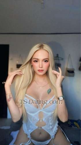 trans girl Sweetmicka 0702032 trans girl Sweetmicka 0702032