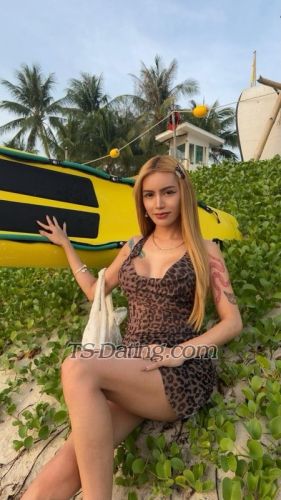 trans girl Sweetmicka 5219533