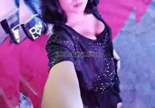 Shemale Sweetyescort 9543215