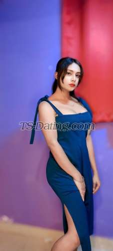 trans girl Sweetyroy 7386306 trans girl Sweetyroy 7386306
