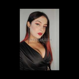 trans girl Sweetyroy 9993753 trans girl Sweetyroy 9993753