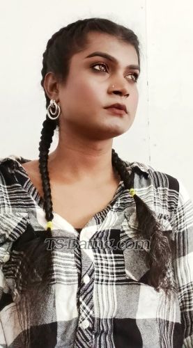 trans girl Swtlovely 6153094 trans girl Swtlovely 6153094
