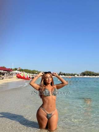 trans girl sashadiamond 0874439