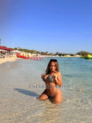 trans girl sashadiamond 0875750