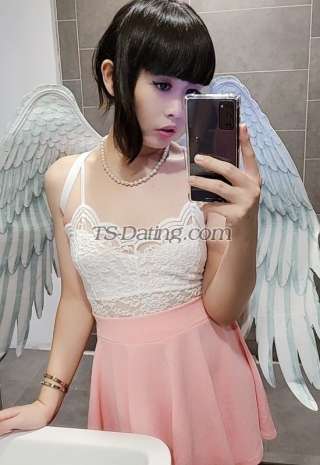 trans girl sexybella999 2535065 trans girl sexybella999 2535065