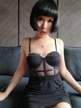 trans girl sexybella999 2564691 trans girl sexybella999 2564691