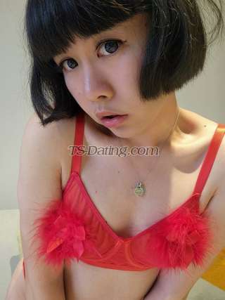 trans girl sexybella999 3076950 trans girl sexybella999 3076950