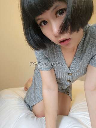 trans girl sexybella999 3092619 trans girl sexybella999 3092619