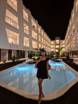 trans girl sexybella999 7032000 trans girl sexybella999 7032000