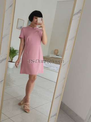 trans girl sexybella999 8976456 trans girl sexybella999 8976456