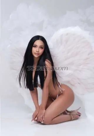 Shemale sexynarats 4040857 Shemale sexynarats 4040857