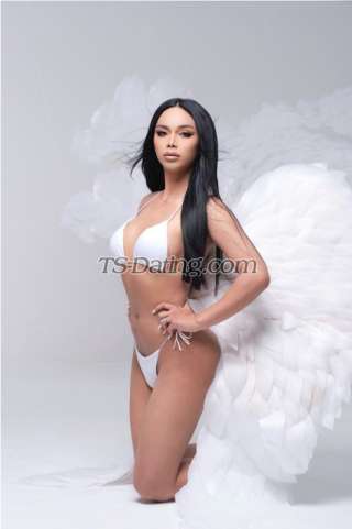 trans girl sexynarats 4041026 trans girl sexynarats 4041026