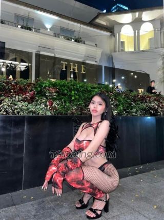 trans girl shanedoll 3289967