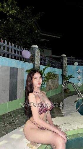 trans girl shanedoll 3290008