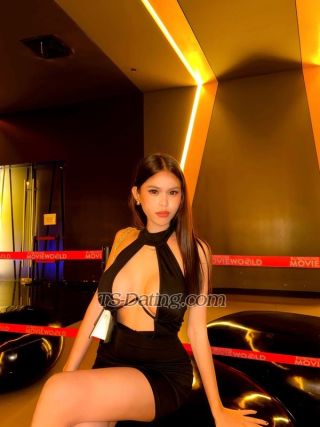 trans girl shanedoll 3290047