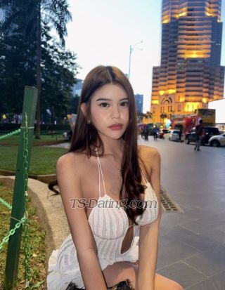 trans girl shanedoll 4504928