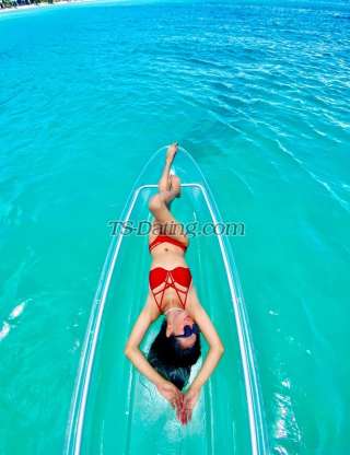 trans girl trans girlNica 2484610 trans girl trans girlNica 2484610