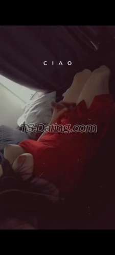 trans girl trans girlorebr 2687141